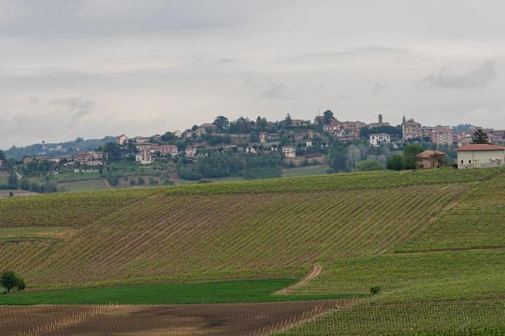 Da Elvira Costigliole d'Asti Exterior foto